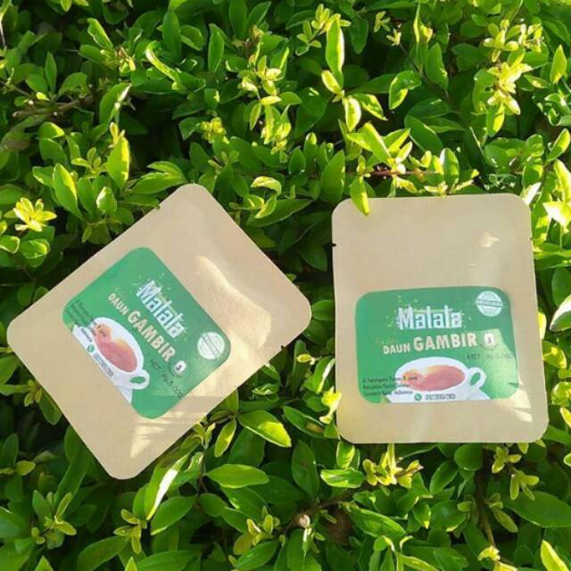 

PROMO SPESIAL Teh Celup Daun Gambir Sachet Isi 5 Kantong celup