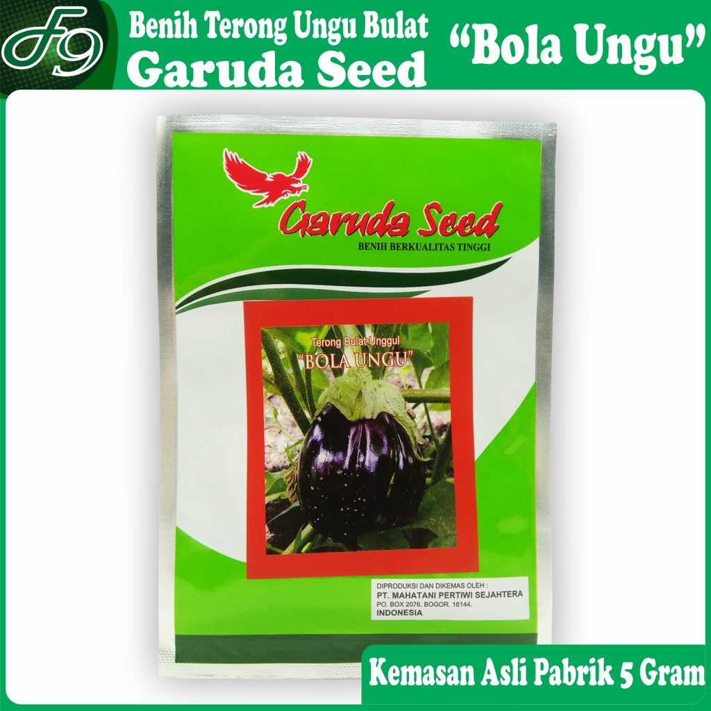 Benih Terong Ungu Bulat OP Bola Ungu Garuda Seed 5 Gram