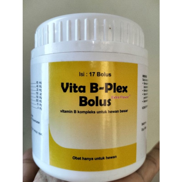 Vita B Plex bolus