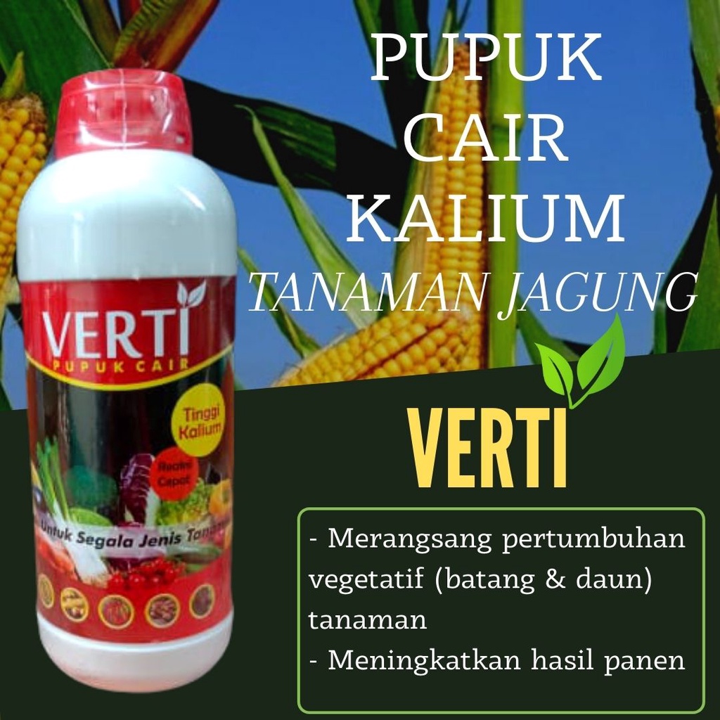 Pupuk Cair Untuk Jagung Verti Kalium, Pupuk Agar Jagung Cepat Berbuah
