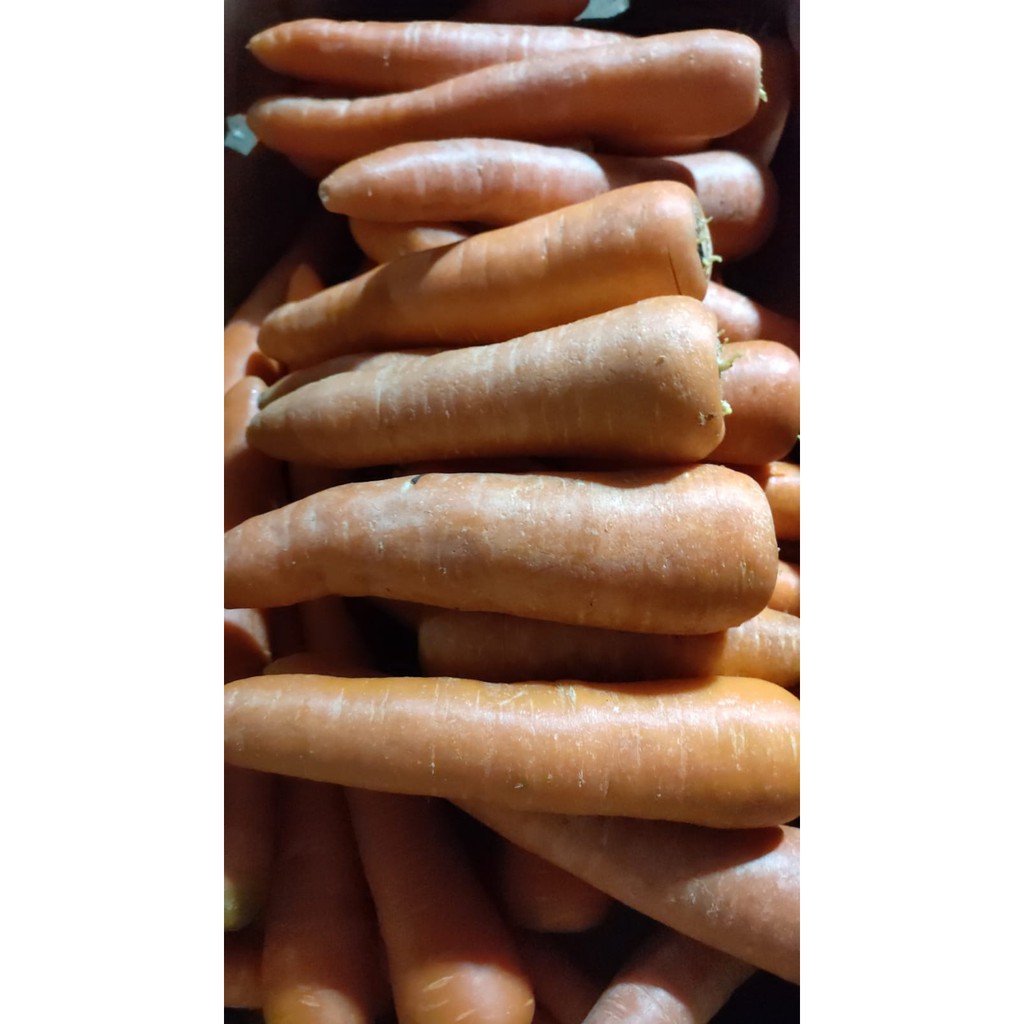 

Wortel Import | Wortel Import Super