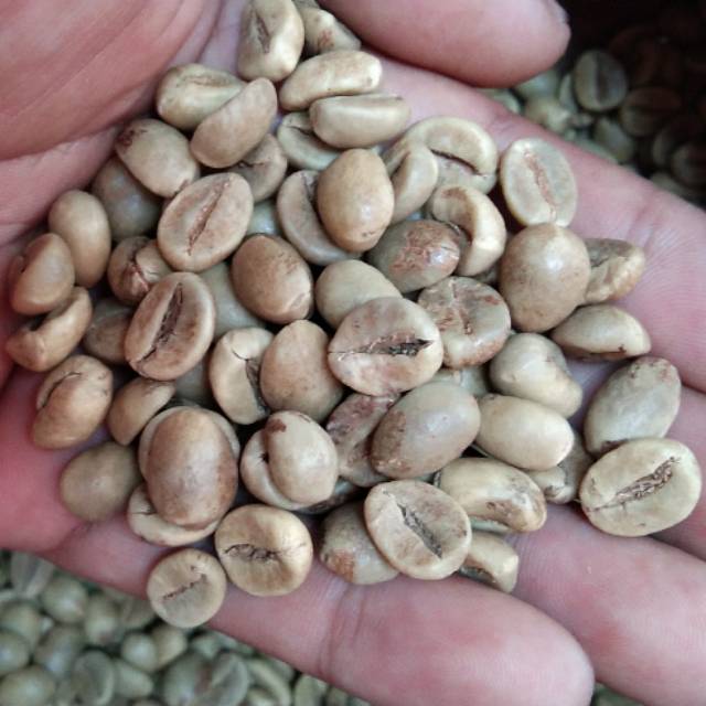 

Greenbean Robusta Dampit G1 1Kg