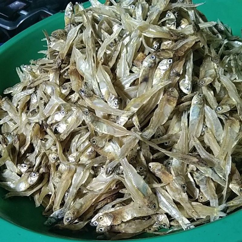 

teri tawar