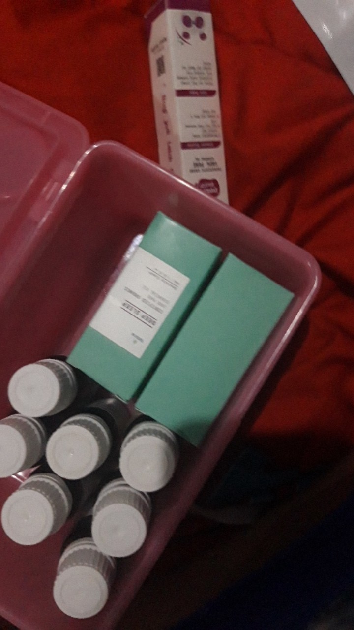 Natuna Pine Essential Oil Diffuser Humidifier Minyak Esensial Air Purifier Aromatherapy Oil Difuser