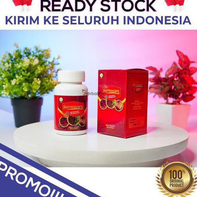 Herbal Buat Asam Urat Obat Wantong Walatra Sarang Semut With Nano Technology Original 100% Asli