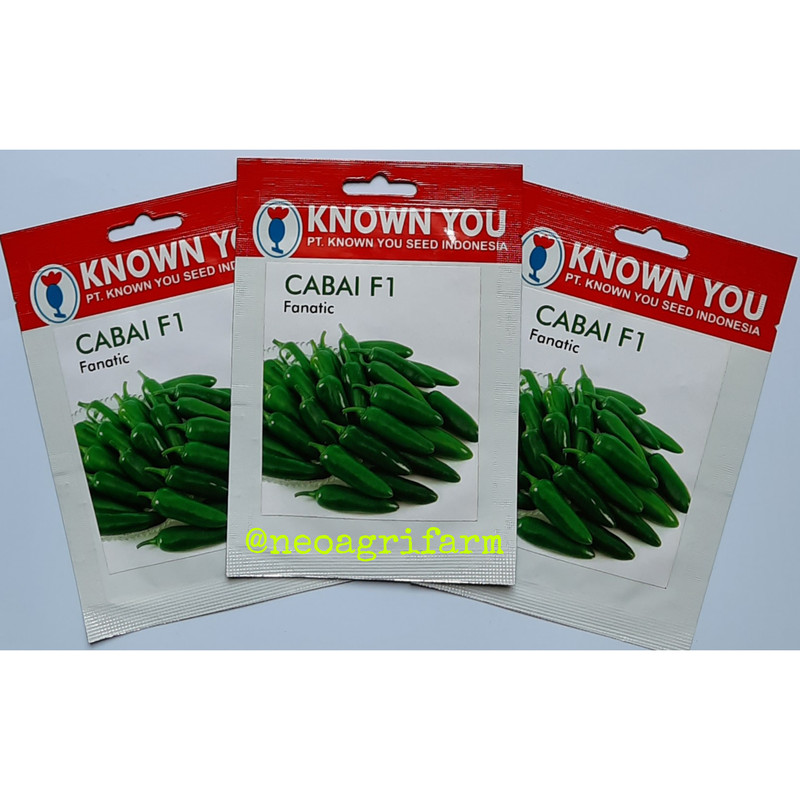 Benih Cabe Cabai Peluru Jalapeno F1 FANATIC Known You Seed