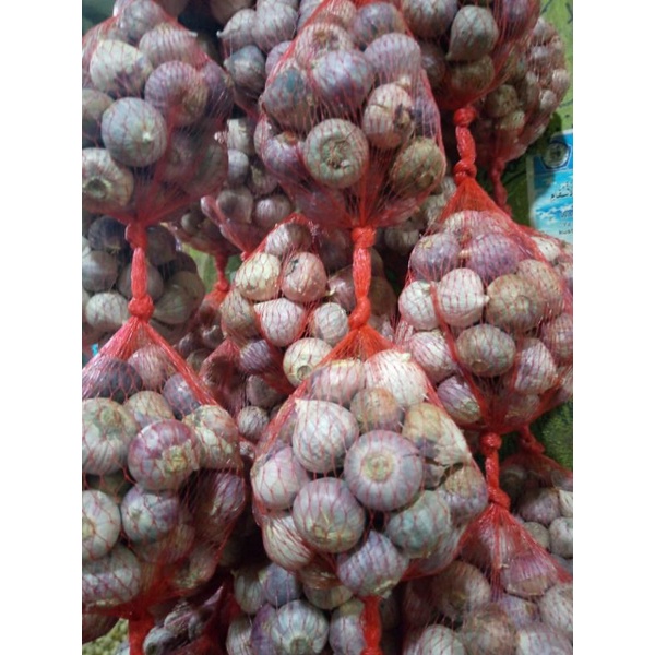 BAWANG PUTIH TUNGGAL 1 KG