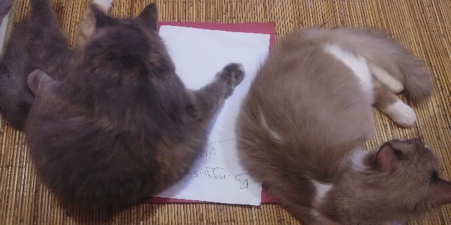 Babon Angkrem Silver Senojoyo Kemeja Batik Pria Eksklusif Lengan Panjang Berfuring