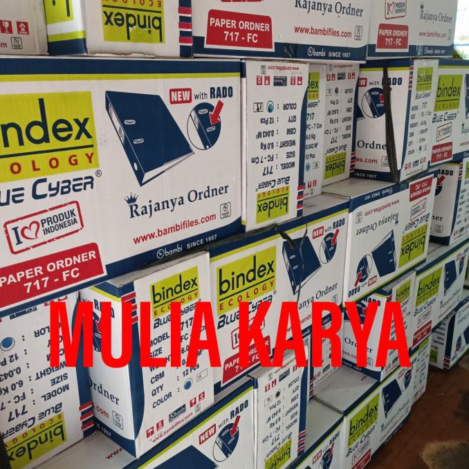 

BEST SELLER Ordner BINDEX 717 Folio / Lusin