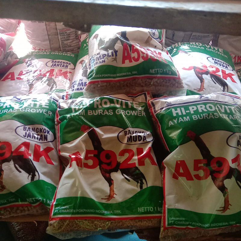 Pakan ayam bangkok