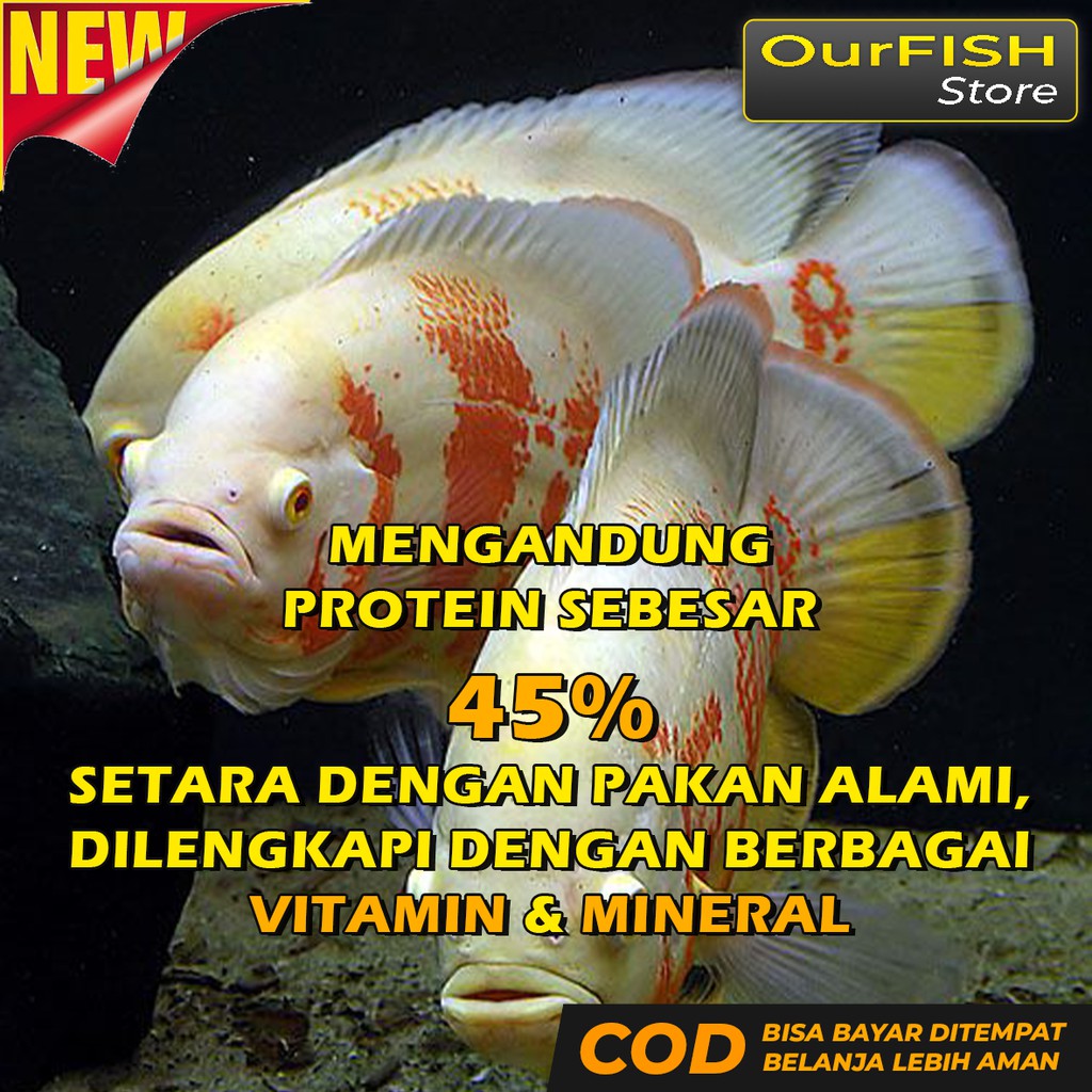 OURFISH - Pakan Ikan Oscar Pelet Makanan Premium Tiger Albino Batik Paris Tembaga Slayer Redoscar