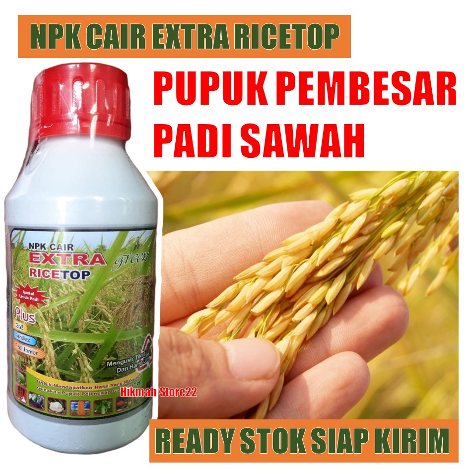 500 Ml Rice Top Pembesar Padi Sawah - Pupuk Pembesar Tanaman Padi - Pupuk Cair Pembesar Buah Padi - 