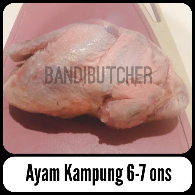 Daging Ayam Kampung Sehat Segar - Ayam Kampung Frozen Size 6-7 Bandi