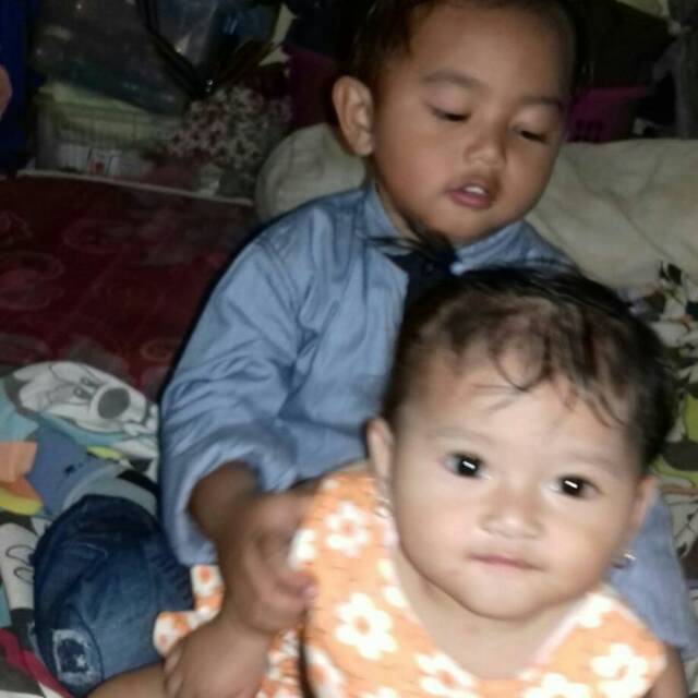 intandebrinamastitis