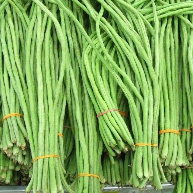 

kacang panjang pasar online makassar