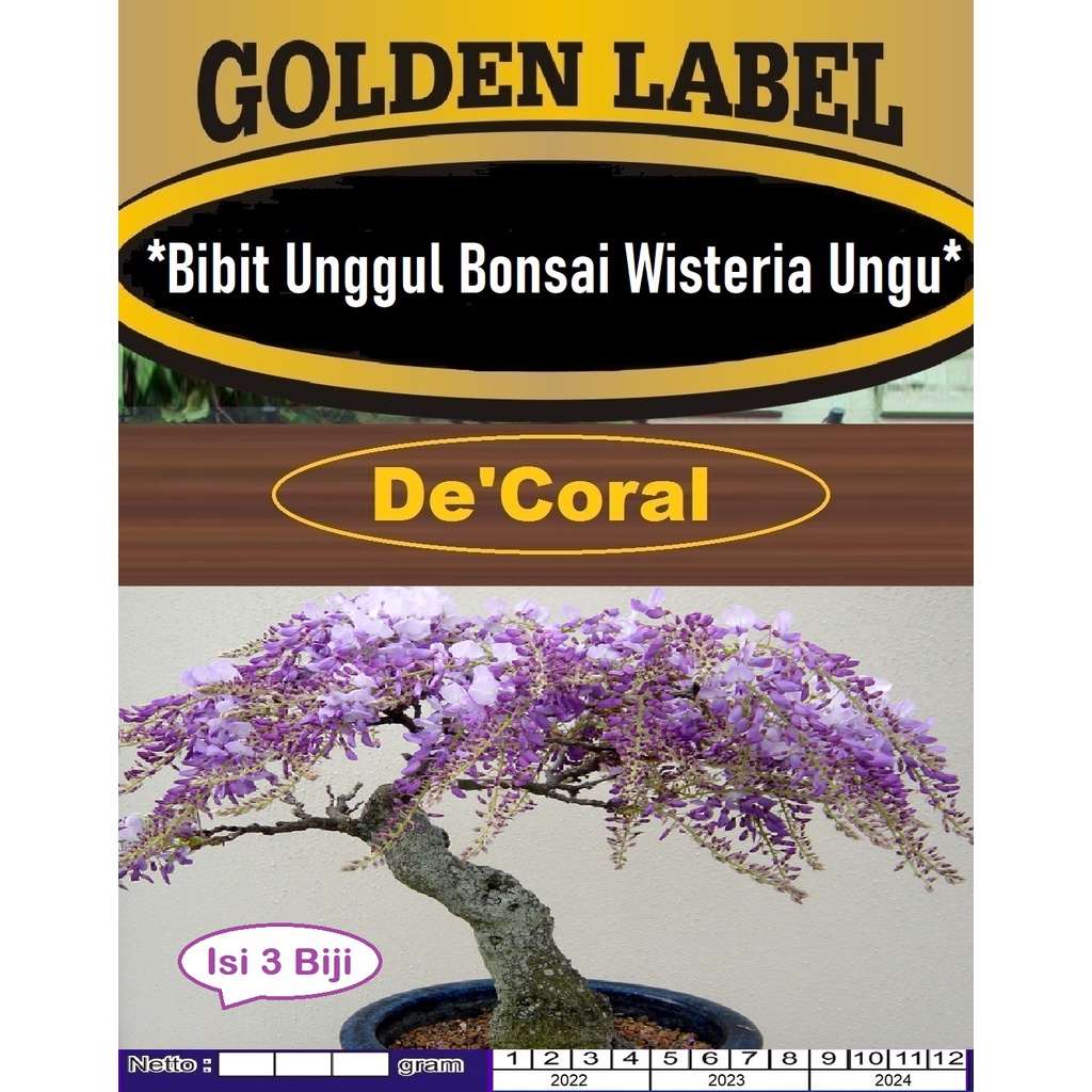 Bibit Unggul Bonsai Wisteria Ungu|Benih Bonsai Wisteria Ungu|Bonsai