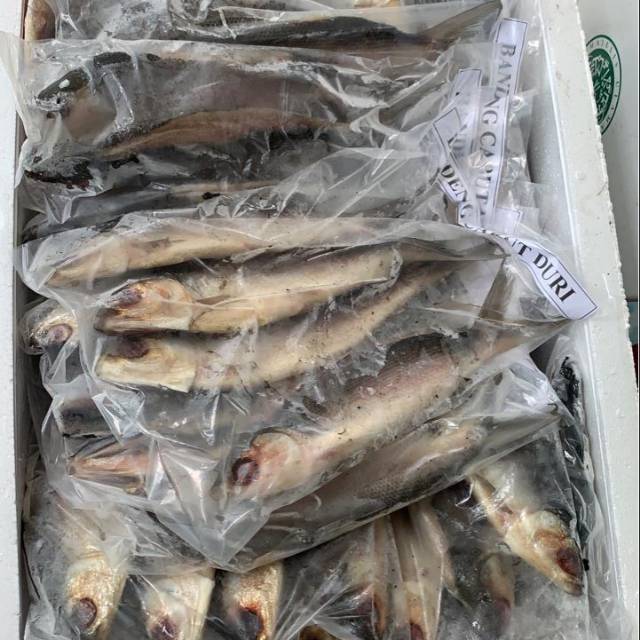 

IKAN BANDENG CABUT DURI FRESH FROZEN 1KG