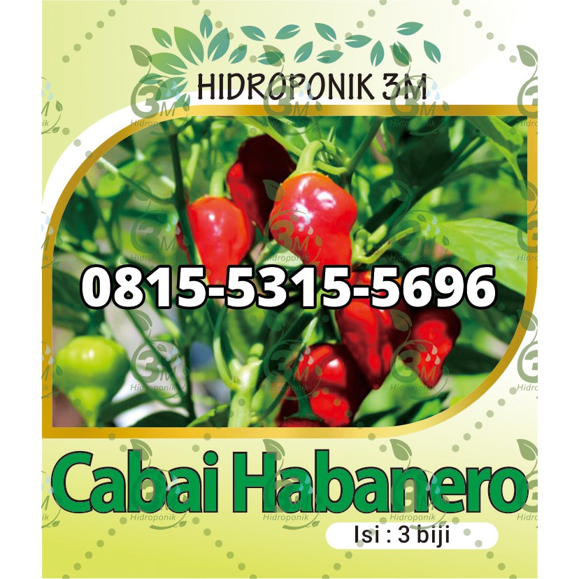 Benih Cabai Habanero - Repack