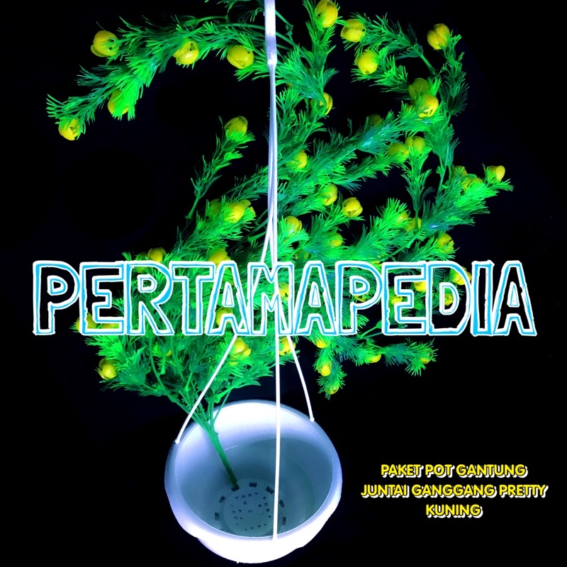 PAKET JUNTAI GANGGANG PRETTY PRITI+POT GANTUNG/Bunga Plastik/Daun Rambat Plastik/Busa Bunga/Dekorasi-POTGANT+GGPRETYKUNIN