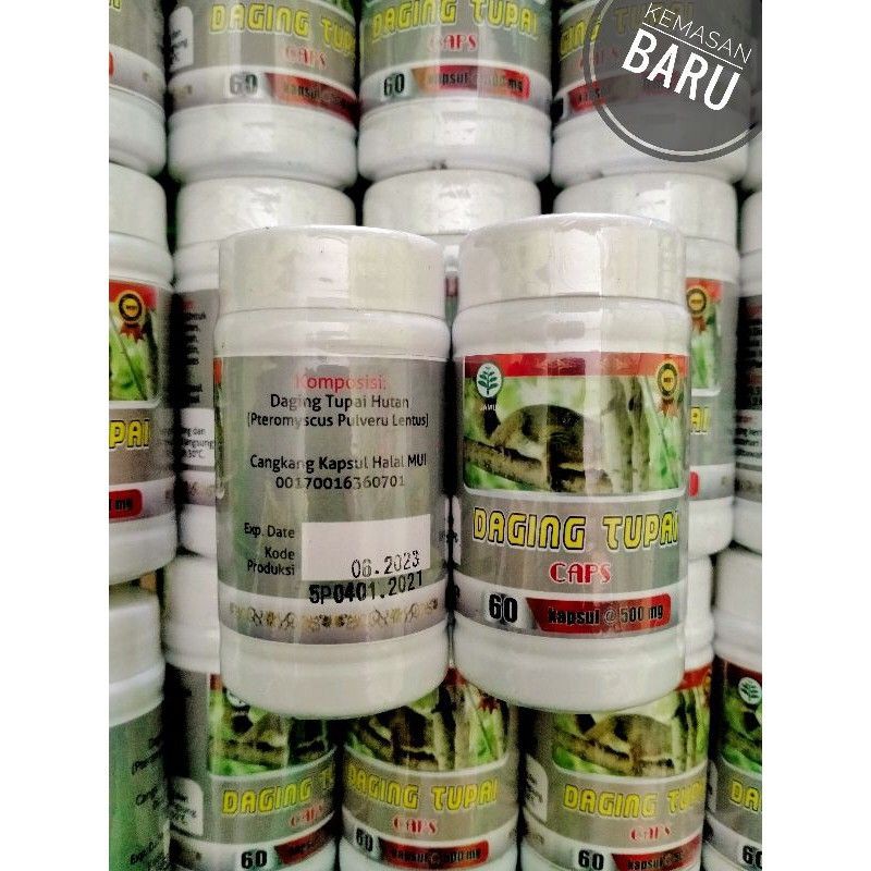 Kapsul Daging Tupai