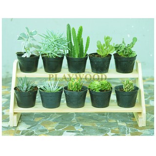  Rak  pot bunga  kayu susun  minimalis  kaktus hias Shopee 