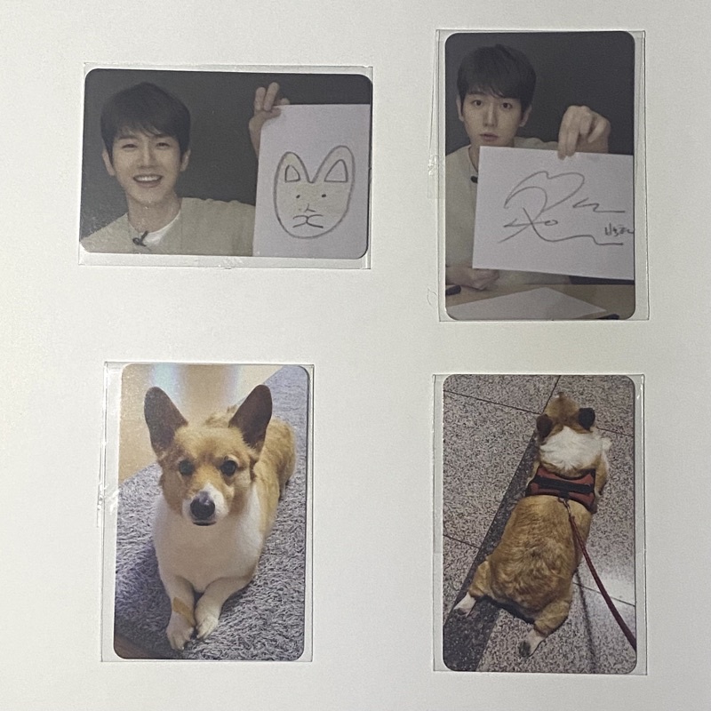 READY STOCK BAEKHYUN & MONGRYONG PHOTOCARD TEOLAEGI MD
