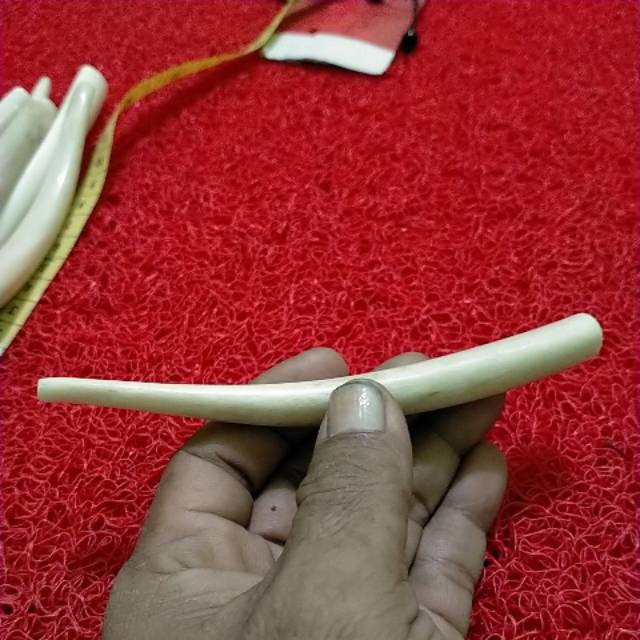 Agen Once pipa roko iga duyung original keaslian terjamin