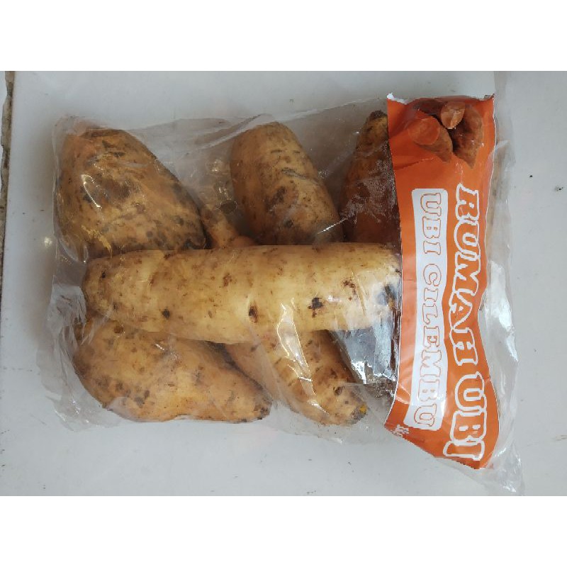 

ubi Cilembu,ubi madu