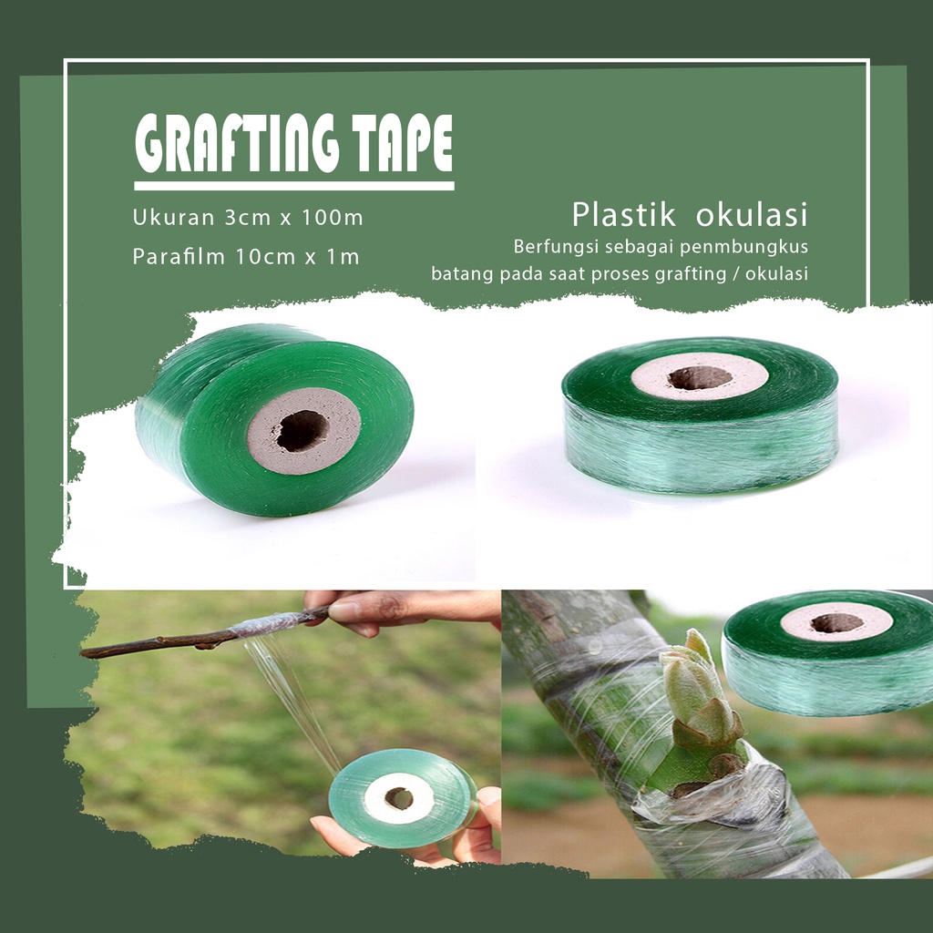 

ISOLASI OKULASI GRAFTING TAPE 3 cm