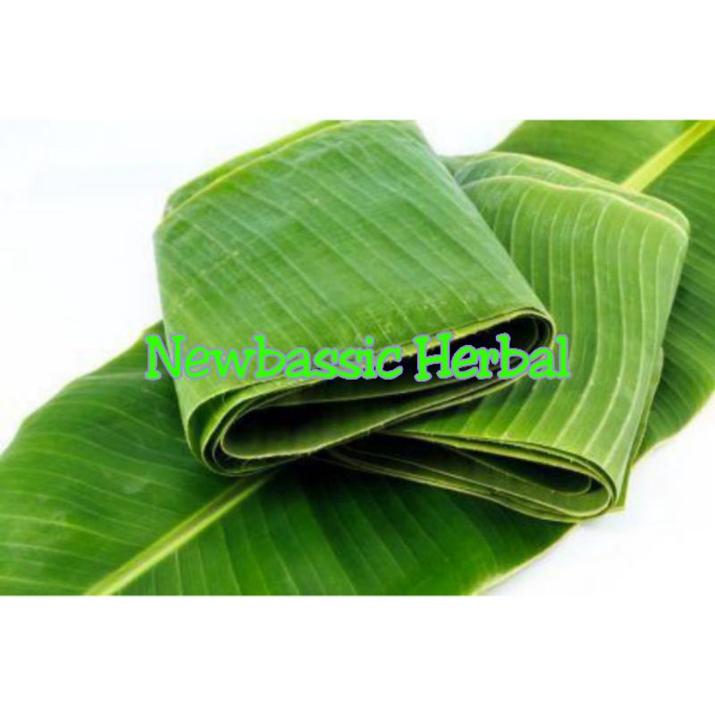 

Daun pisang untuk bungkus makanan dan lain lain