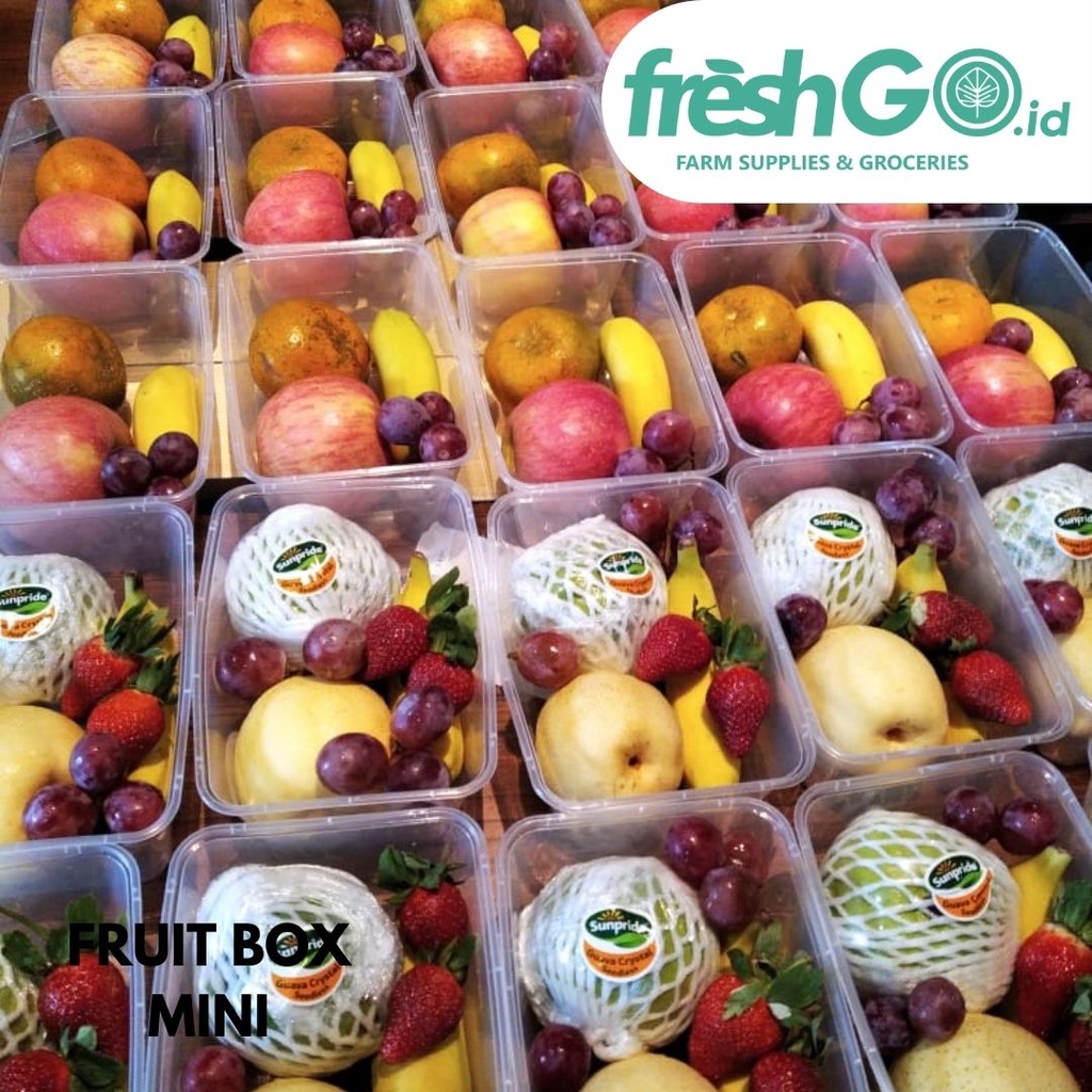 

Snack Fruit Box Segar Hampers Mini untuk Isoma hajatan acara kantor ulang tahun exclusif FRESHGO.ID