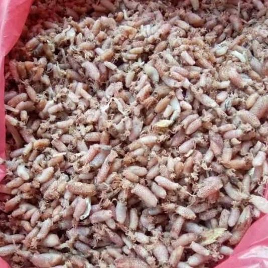 Cumi Baby Asin Kering Khas Medan Berat 250Gram