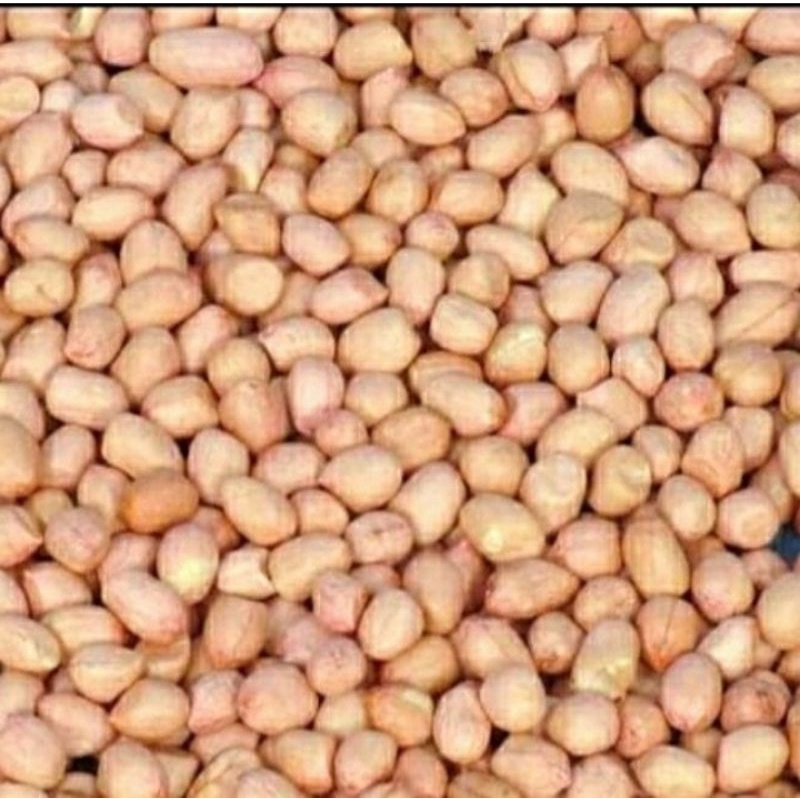 

Kacang Tanah Mentah Super Import [1kg]