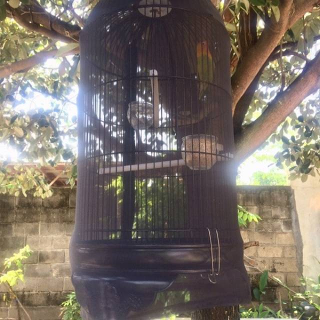 krodong sangkar krodong transparan kerodong burung krodong lovebid kelambu