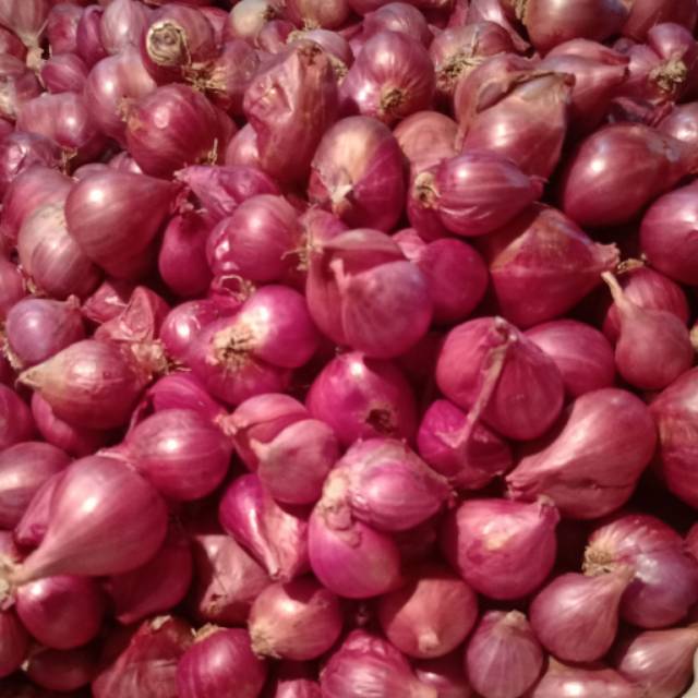 

Bawang merah