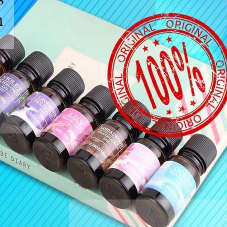 ESSENTIAL OIL AROMATERAPI DIFFUSER YOUNG LIVING PENGHARUM DIFUSER HUMIDIFIER MINYAK ESENSIAL OIL Q02