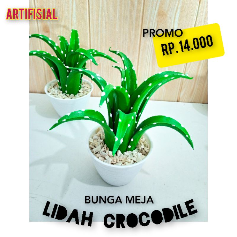 [TODAY PROMO] BUNGA HIAS MEJA LIDAH BUAYA CROCODILE ARTIFISIAL DEKORASI