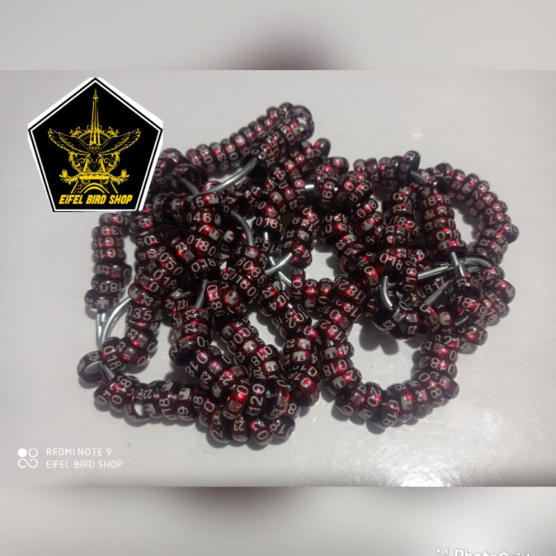 RING MERPATI JATIM 2023 RING SI JATIM merpati balap