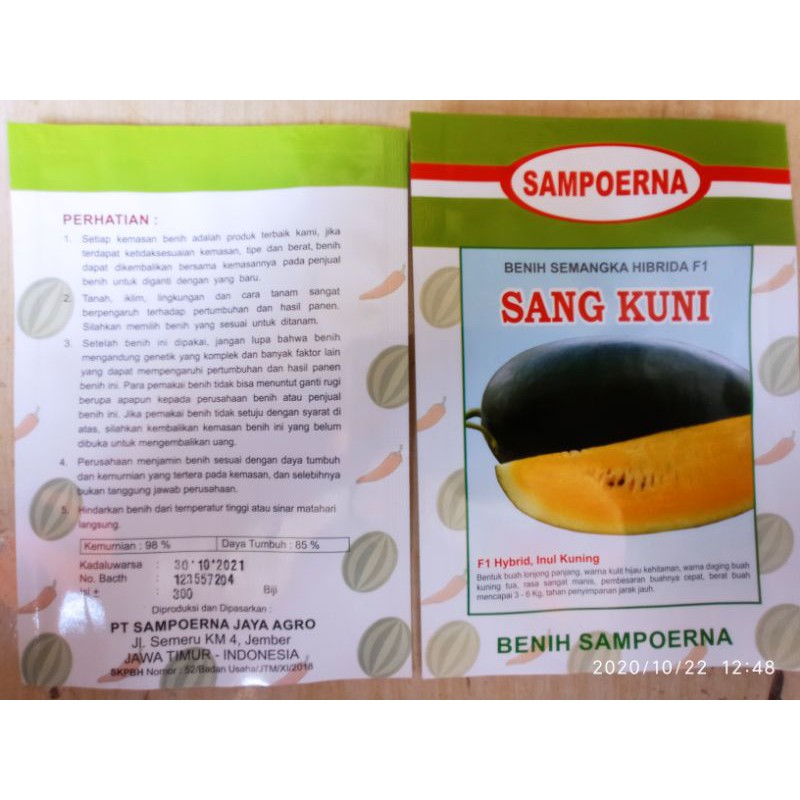 Benih semangka Berbiji