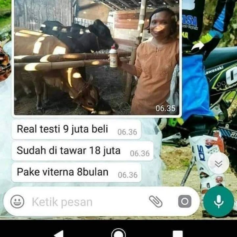 VITAMIN TERNAK SAPI // VITAMIN PENGGEMUK HEWAN // VITERNA ASLI