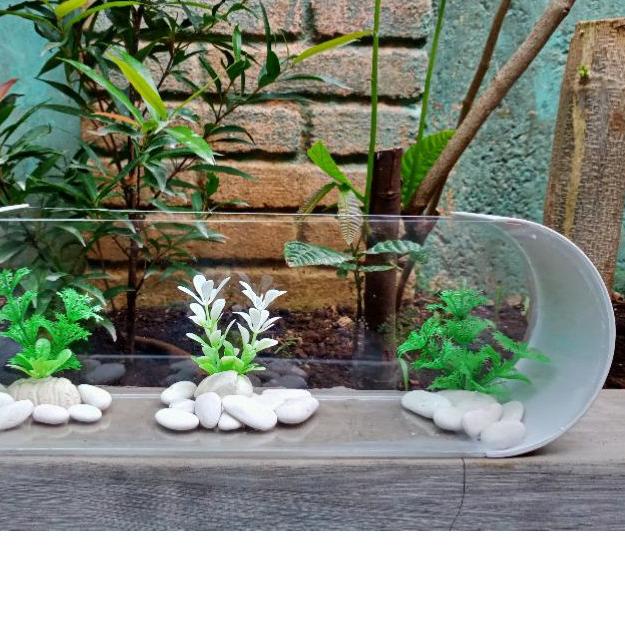 aquarium mini unik akrilik pvc oval cupang,gapi,neon,ikan hias