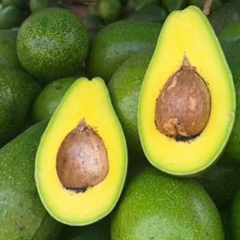 

ALPUKAT MENTEGA JUMBO 1KG