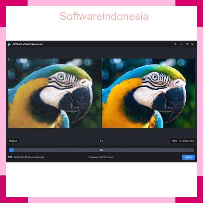 SOFTWARE AVCLabs Video Enhancer AI  TERBARU FULL