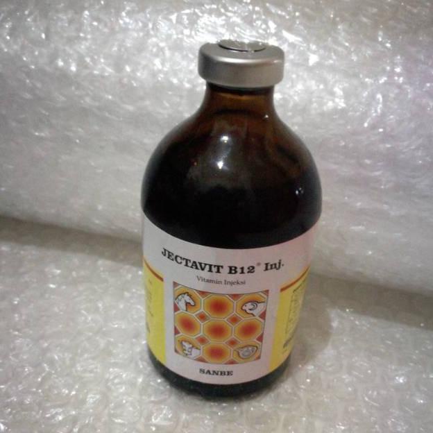 New Jectavit b12 inj sanbe vitamin b12 obat hewan untuk ternak sapi