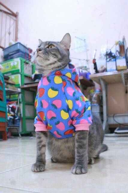 Kaos jumper motif untuk kucing &amp; anjing /Jual Baju Kucing Terlengkap &amp; Berkualitas size S-XL