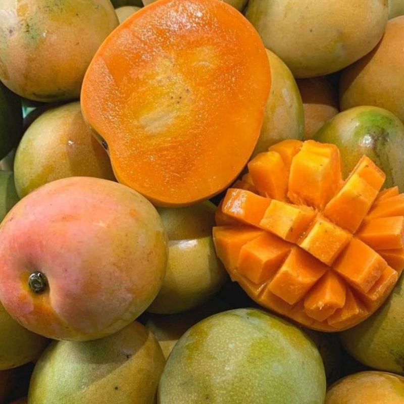 

Mangga gedong gincu|gedong gincu 500gram|buah mangga|buah segar bandung|sandria082