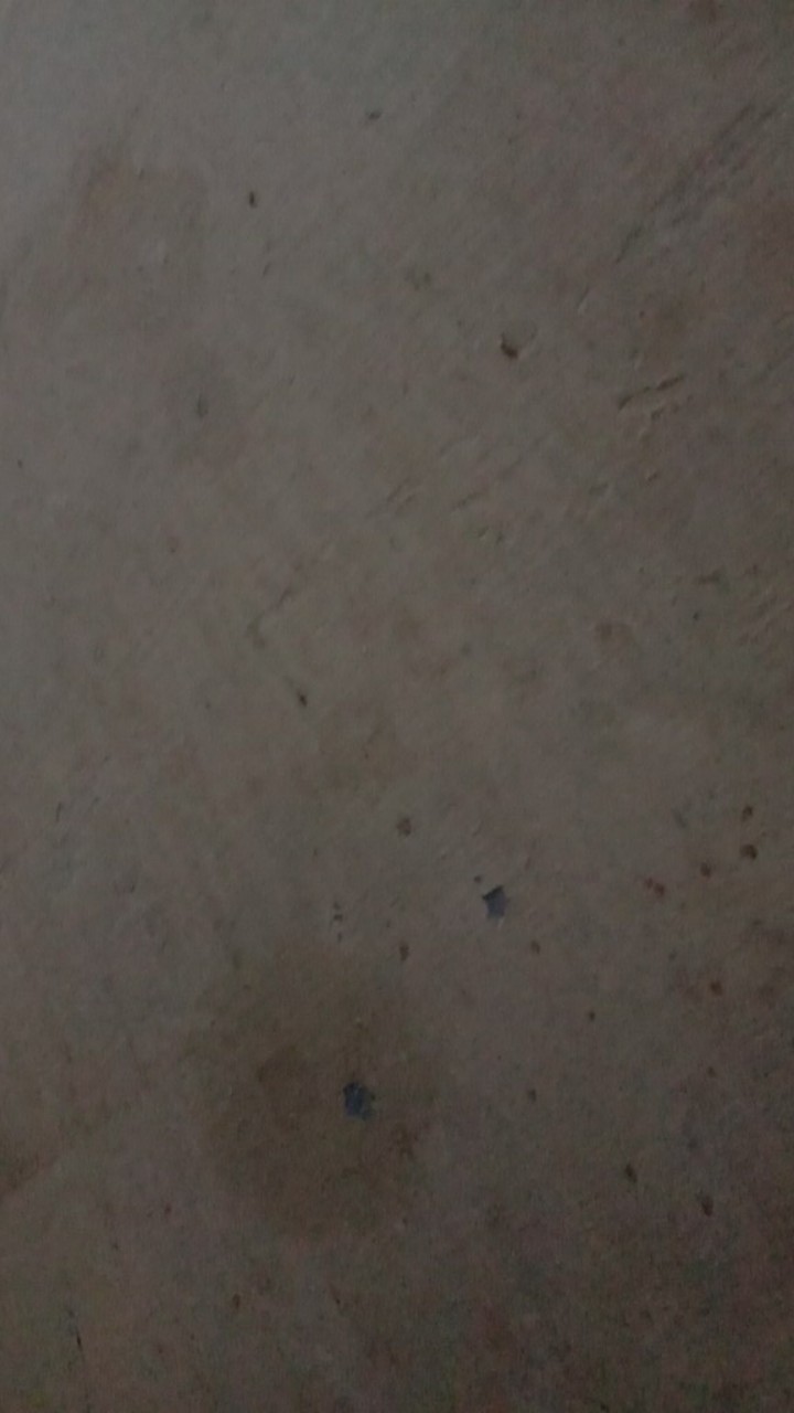 Tisu Paseo 250 Sheet / Satuan