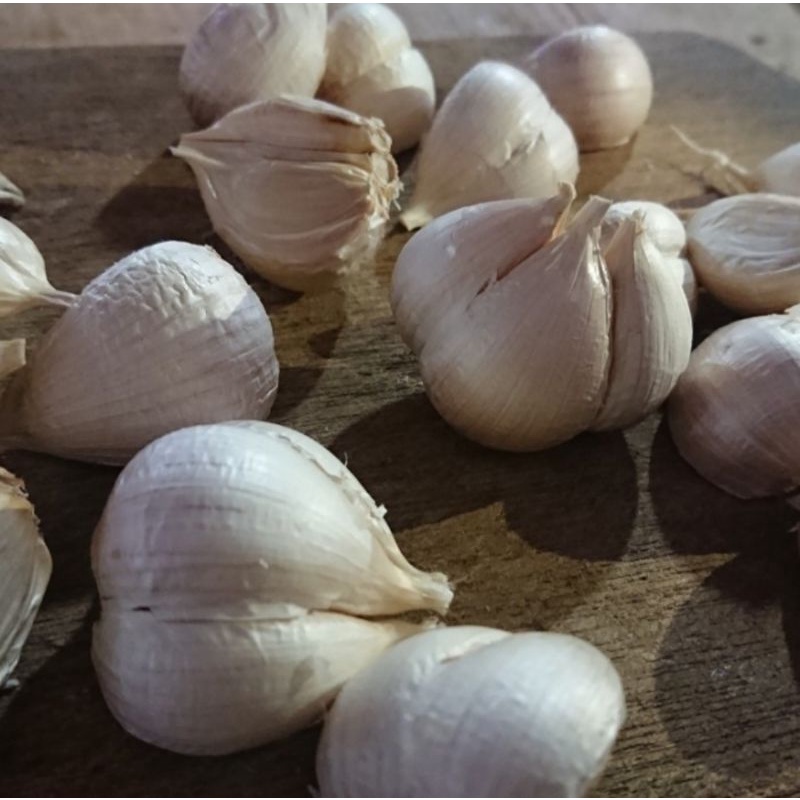 

bawang putih cutting