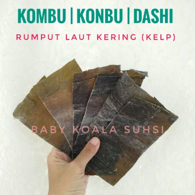 KOMBU DASHI Konbu Dashima 50 g │ Kaldu Rumput Laut Import Kelp Kuah Miso Ramen Udon