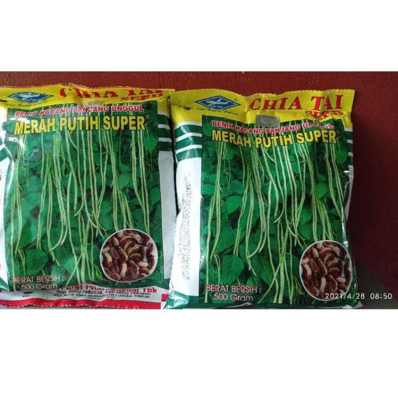 Benih kacang panjang unggul merah putih super cap kapal terbang